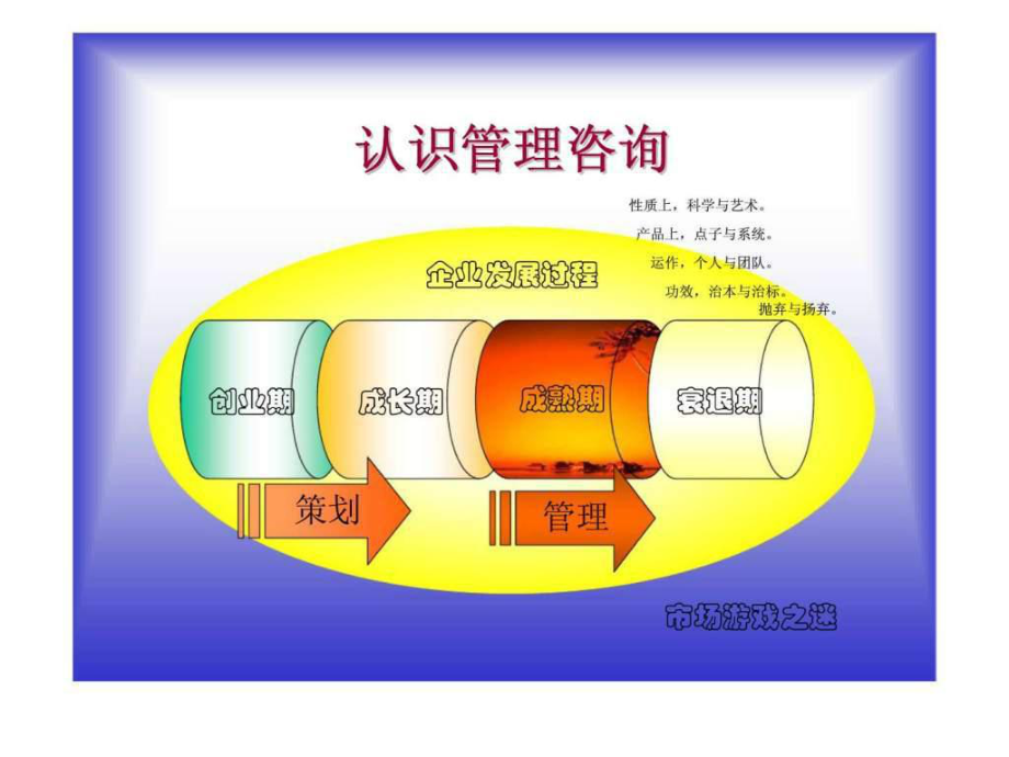 管理咨詢業(yè)分析 行業(yè)概述、趨勢與挑戰(zhàn)