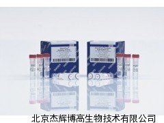 Qiagen QIAamp DNA Blood Mini Kit（51185）—— 北京杰輝博高生物技術(shù)專(zhuān)業(yè)供應(yīng)與服務(wù)